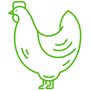 Aves