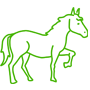 Equinos